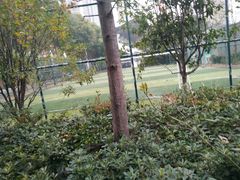 -武汉市第四中学