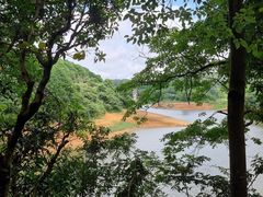 -东莞市大岭山森林公园