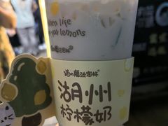 -猫的魔法密林(衣裳街店)
