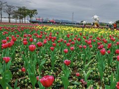 -玫瑰海岸文化旅游度假区