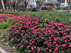 -深圳市人才园(深南大道店)