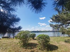 -长白岛森林公园