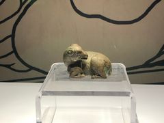 -宁夏博物馆