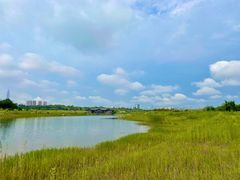 -四川大学(华西校区)