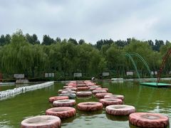 -东方巨龟苑景区