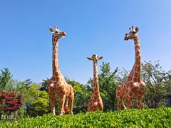 -奉浦四季生态园