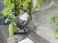 -闻香阁·清真(光荣道店)