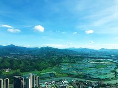 景观位-瑞吉酒店·The Drawing Room闲逸廊·云端下午茶·夜奢Whiskey