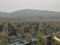 -无锡市乌鹤山公墓办事处