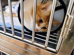 -荔康动物医院(康王北路店)