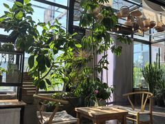 -北马山庄植趣咖啡