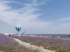 -渔岛海洋度假区