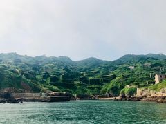 -枸杞岛