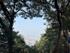 -惠山国家森林公园