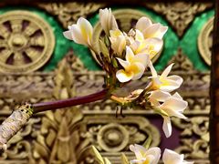 -西双版纳总佛寺