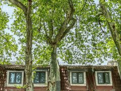 -长江路历史文化街区