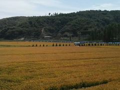 -南泥湾风景区
