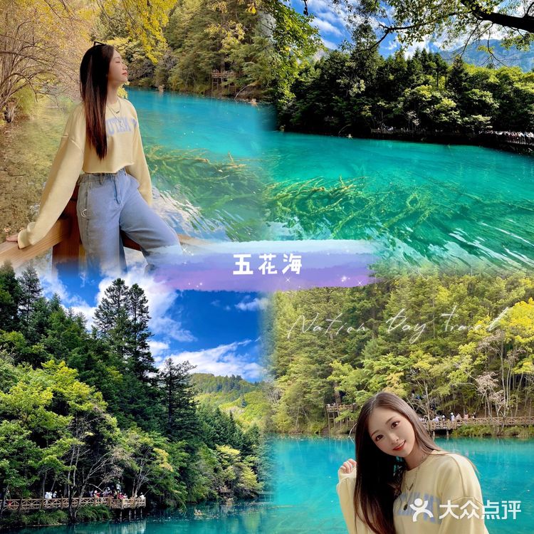 四川九寨沟详细旅游攻略｜秋冬出游·看这里✔️