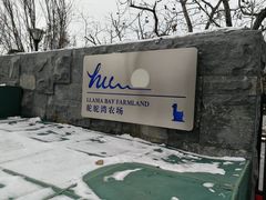 -静之湖度假区