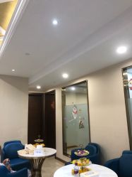 -碧莲盛·不剃发植发