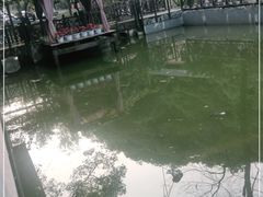 -天怡·鱼工厂(梅溪湖店)