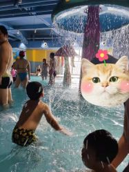 -宝燕乐园(闵行旗舰店)