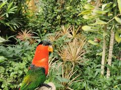 -南宫五洲植物乐园