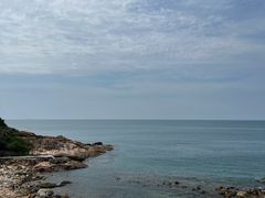 -广东惠东海龟国家级自然保护区