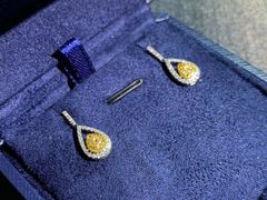 -志龙皇冠吃货椰子铺