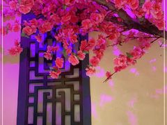 -今朝桃花醉川菜小酒馆(龙湖天街店)