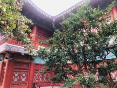 -华清宫景区