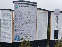 -莲花岛景区