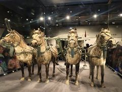 -秦始皇帝陵博物院-丽山园