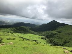 -大姆山草场