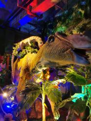 -恐龙探索乐园(磁器口店)