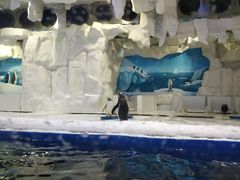 -华夏文旅海洋公园