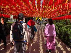 -大槐树寻根祭祖园