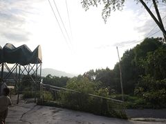 -金水泊山庄·花椒鸡(铁山坪店)