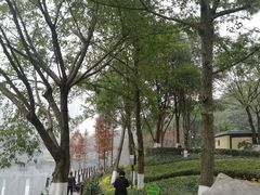 -重庆彩云湖湿地公园