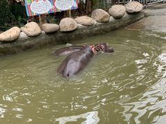 -宁波野生动物园