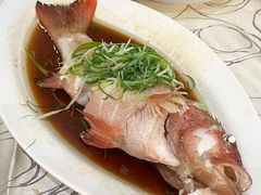 -東海薈。拉斐特(青衣城店)