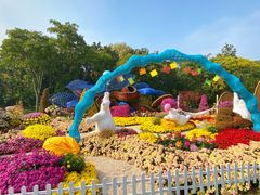 -上海共青森林公园