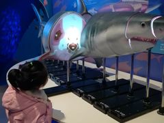 -烟台海昌鲸鲨海洋公园