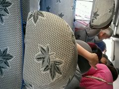 android_upload_pic-新疆天山野生动物园