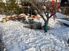 -白桦林温泉谷