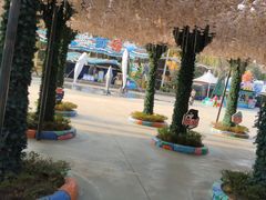 -海合安成都极地海洋公园