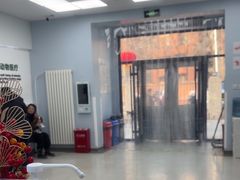 -中国农业大学动物医院