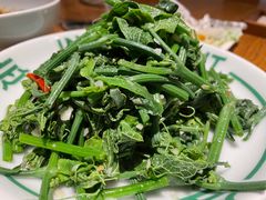 木姜子伴丝瓜尖-一坐一忘云南菜(嘉里中心店)