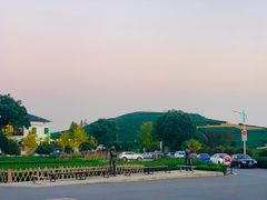 -龙坞茶村