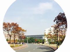 -扬州大学(扬子津校区)